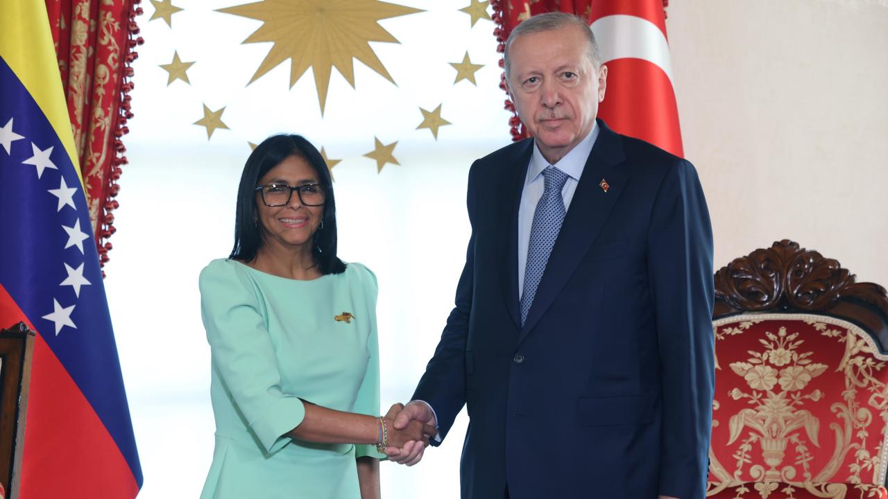 Ərdoğan Venesuela rəsmisi Rodrigez ilə görüşüb