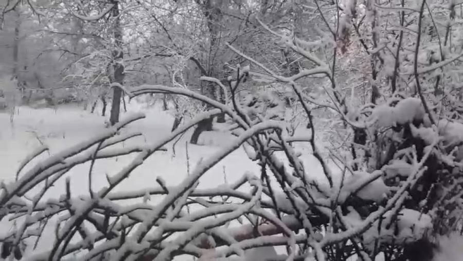 Regionlara qar yağır - FAKTİKİ HAVA