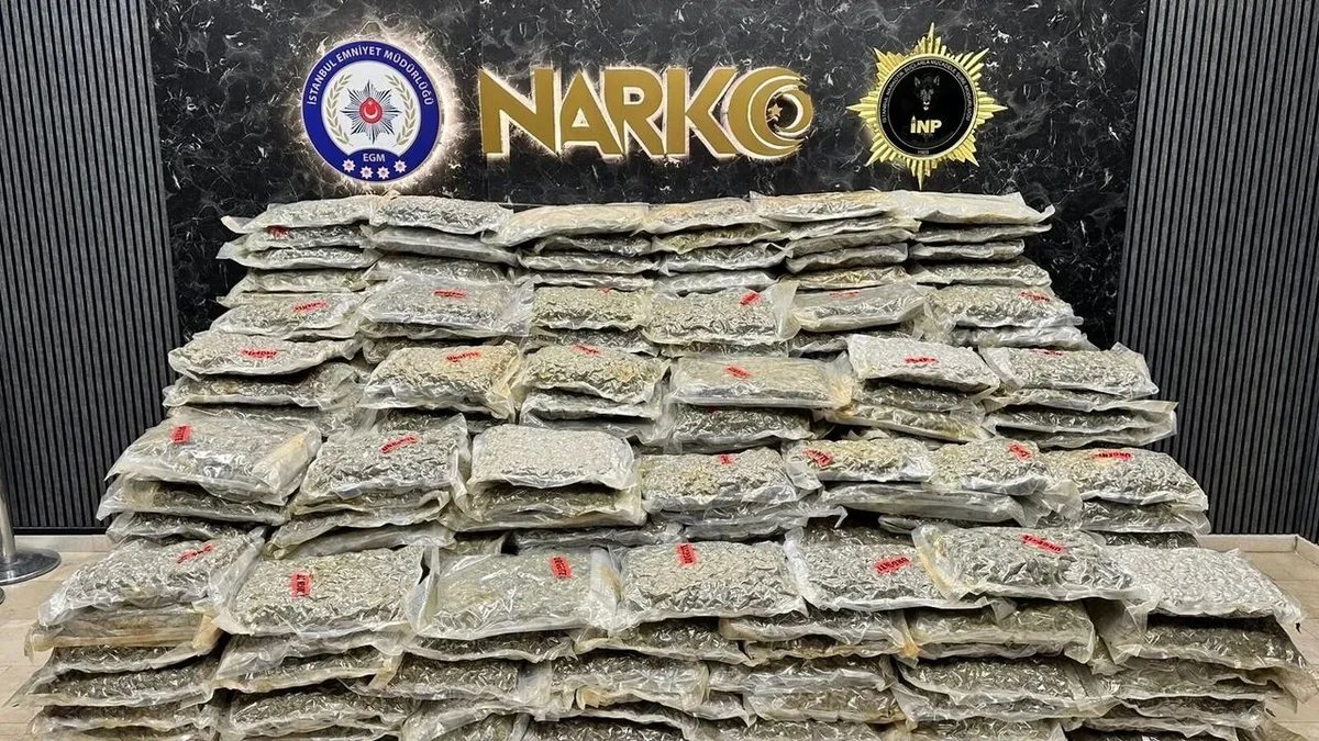 İstanbulda yarım tondan çox narkotik maddə aşkarlanıb