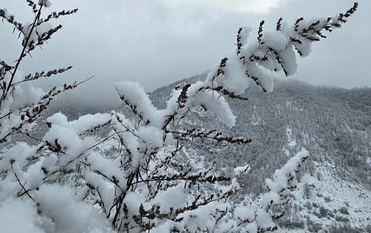 Yağış və qar yağıb - FAKTİKİ HAVA