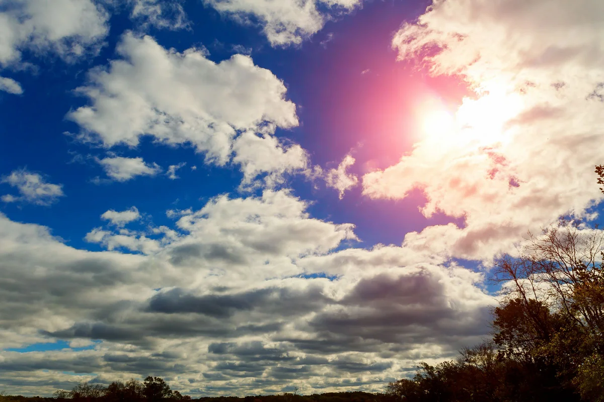 Bazar gününün havası