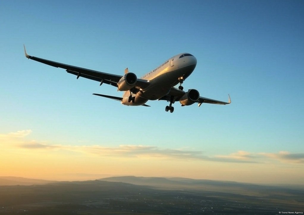 Münaqişənin şiddətlənməsi səbəbindən 11 mindən çox uçuş ləğv edilib