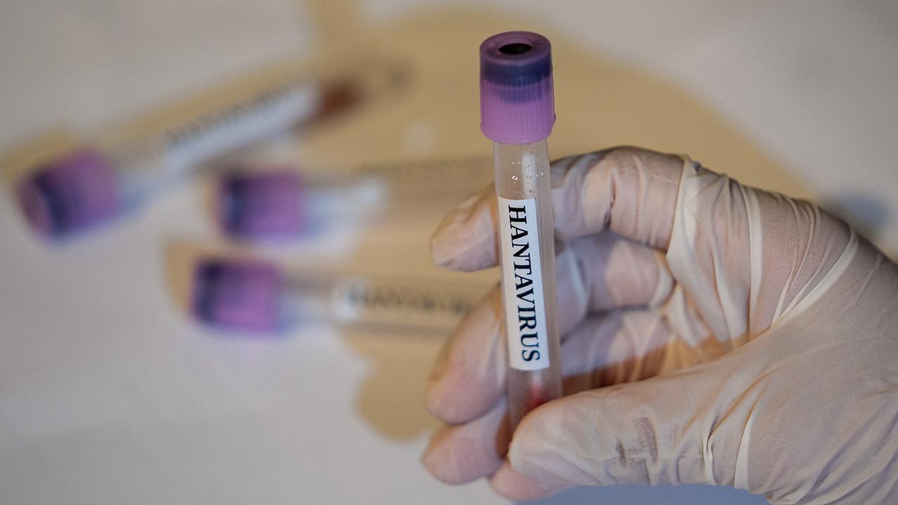 ÜST: Hantavirus qlobal əhali üçün aşağı risk olaraq qalır
