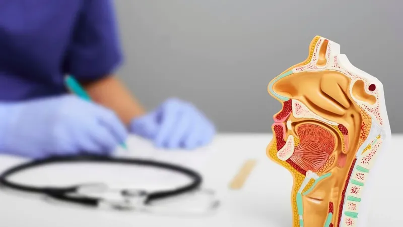 Qulaq, boğaz, burun xəstəlikləri haqqıda gözlənilməz faktlar - Otolarinqoloqla müsahibə