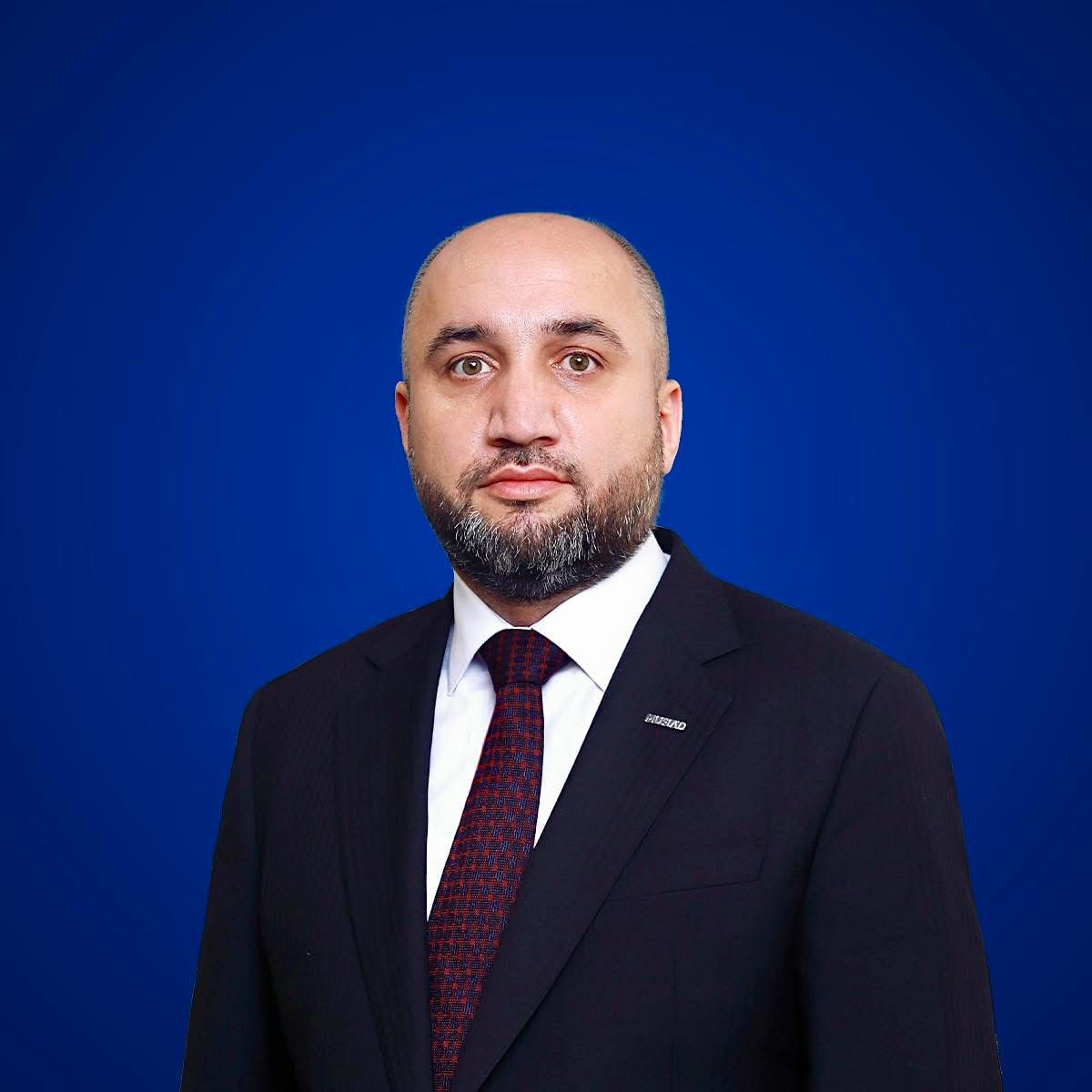 Savanna beyni, Alqoritm dünyası: peşəkar pislər, həvəskar yaxşılar, ruhdan düşmüş səyahətçilər..