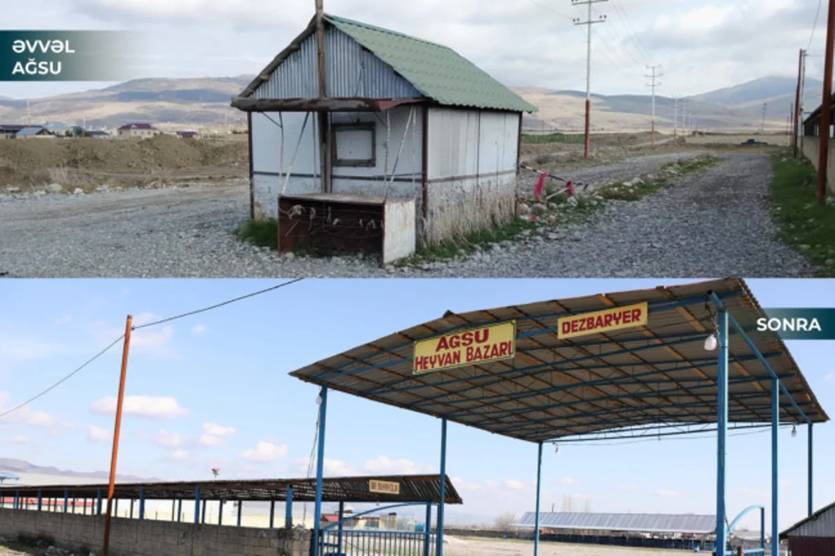 Masallı və Ağsuda heyvan bazarları açılıb